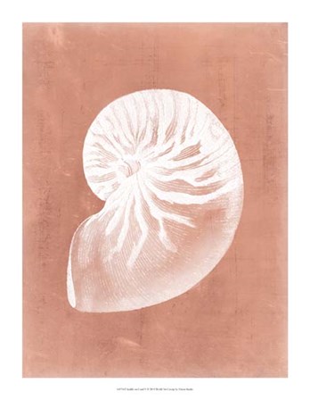 Sealife on Coral V by Vision Studio art print