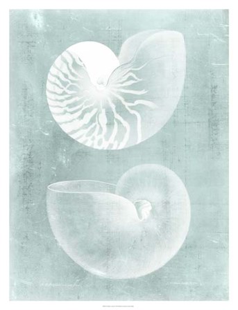 Nautilus on Spa I by Vision Studio art print