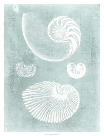 Nautilus on Spa II by Vision Studio art print