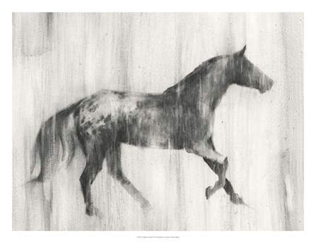 Appaloosa Study I by Ethan Harper art print