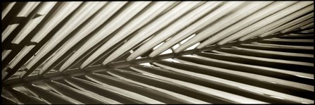 Florison 100 by Alan Blaustein art print