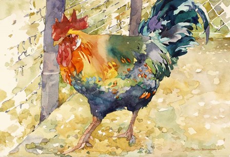 Colorful Rooster by Annelein Beukenkamp art print
