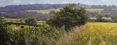 Poppies by Bill Makinson art print