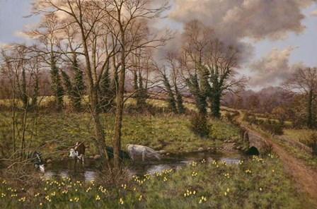 Cattle And Daffodils by Bill Makinson art print