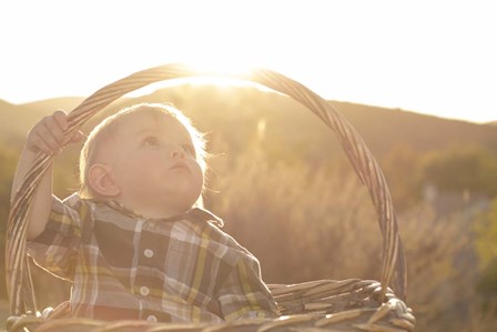 Basket Burst by Chris Moyer art print