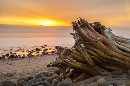 Driftwood Sunset by Chris Moyer art print