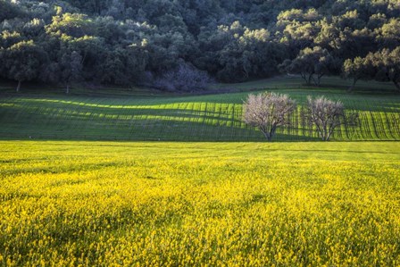 Together Forever by Chris Moyer art print