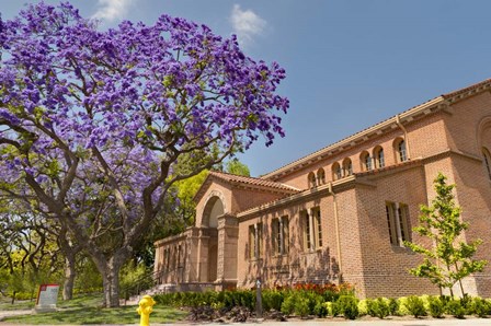 USC University Club by Chris Moyer art print