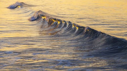 Warm Curl by Chris Moyer art print