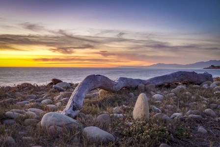 Driftwood January by Chris Moyer art print