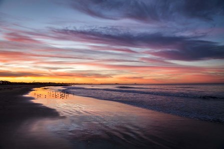 Birdrise by Chris Moyer art print