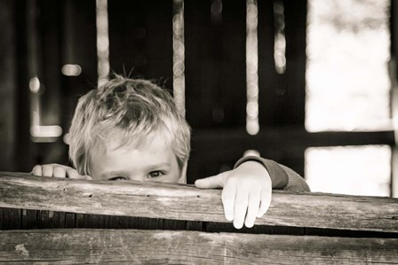 Peekaboo by Chris Moyer art print