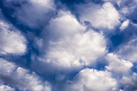 Clouds II by Janice Sullivan art print