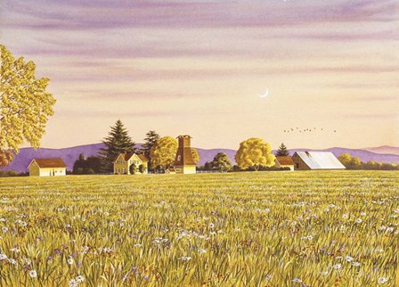 Country Morning by Joel Ogard art print