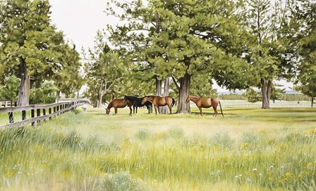 Juniper Valley by Joel Ogard art print