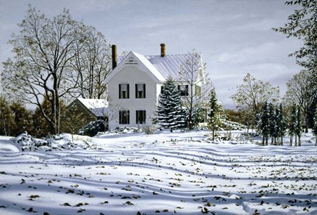 Fallen Leaves by Joel Ogard art print