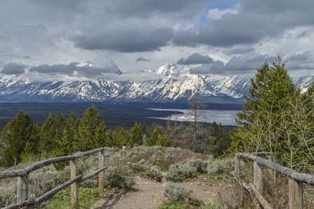 Jackson Lake Overlook G by Galloimages Online art print