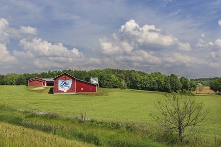 Ohio Farm by Galloimages Online art print