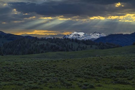 Lamar Valley Sunrise by Galloimages Online art print