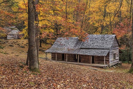 Bud Ogle Place With Barn Comp 2 by Galloimages Online art print