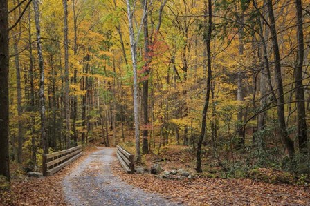 Greenbrier Bridge Path by Galloimages Online art print