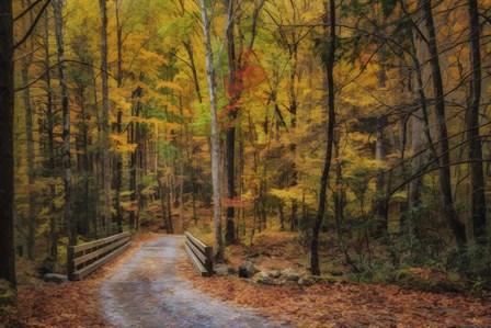 Greenbrier Path by Galloimages Online art print