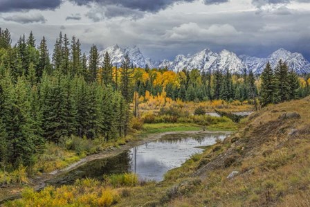Gtnp Fall Color With Mountains by Galloimages Online art print