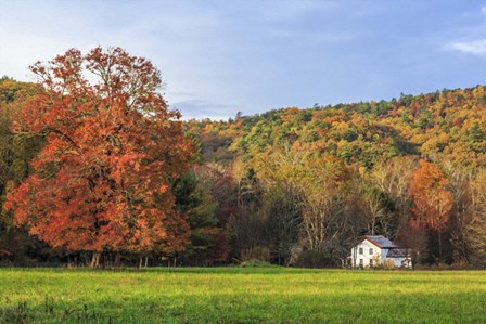 Little House In The Fall by Galloimages Online art print