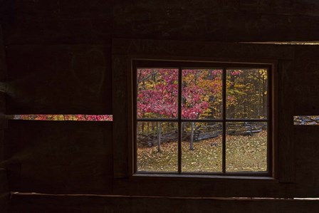 Roaring Fork Cabin Window by Galloimages Online art print