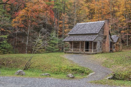 Smokies Cabin 2 by Galloimages Online art print
