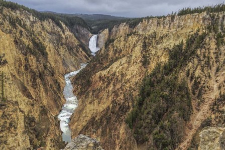 Yellowstone Grand Canyon - Lower Falls by Galloimages Online art print