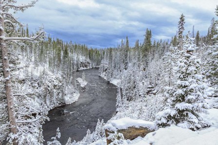 Yellowstone Winter In Fall by Galloimages Online art print