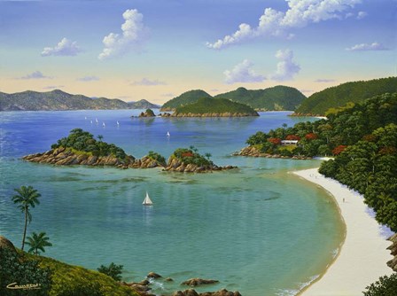 Trunk Bay - Virgin Islands by Eduardo Camoes art print