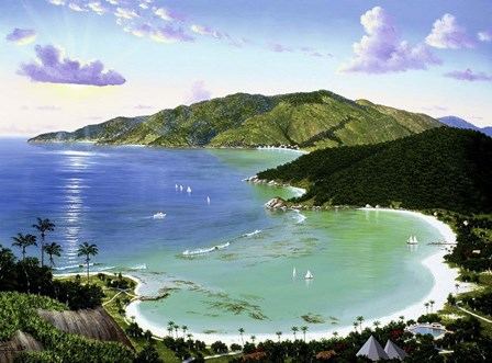 Little Dix Bay - Virgin Islands by Eduardo Camoes art print
