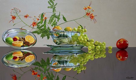 Reflections 2 by Eduardo Camoes art print