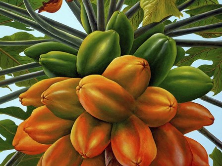 Good Crop by Eduardo Camoes art print