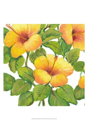 Watercolor Hibiscus III by Timothy O&#39;Toole art print
