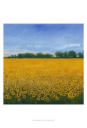 Field of Sunflowers II by Timothy O&#39;Toole art print