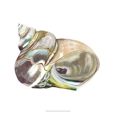 Seashore Souvenirs IV by Naomi McCavitt art print