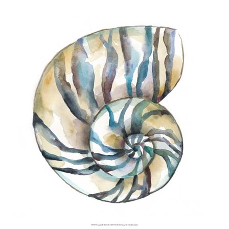Aquarelle Shells II by Chariklia Zarris art print