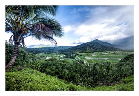 Hanalei Valley by Danny Head art print