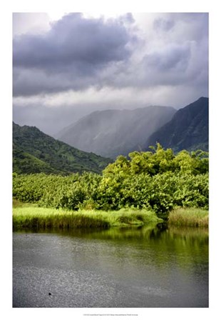 Coastal Marsh Triptych III by Danny Head art print