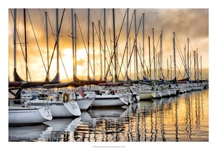 Backlit Marina by Danny Head art print