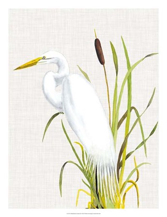Waterbirds &amp; Cattails IV by Naomi McCavitt art print