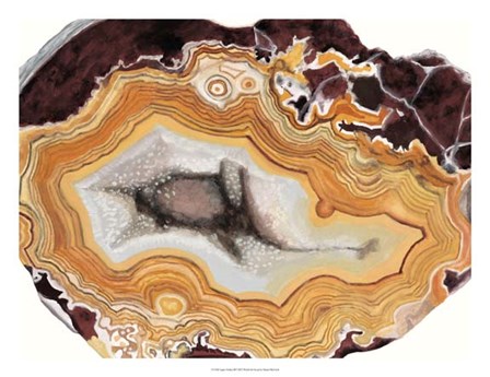 Agate Studies III by Naomi McCavitt art print