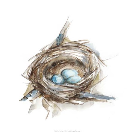 Bird Nest Study II by Ethan Harper art print