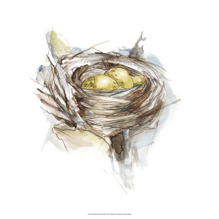 Bird Nest Study III by Ethan Harper art print