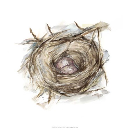 Bird Nest Study IV by Ethan Harper art print