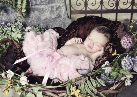 Sleeping Beauty by Liz Zernich art print