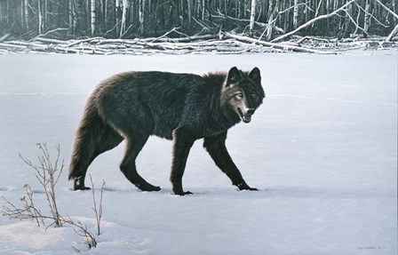 Winter Morning by Ron Parker art print